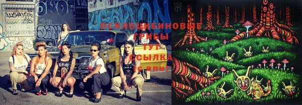 спайс Осинники