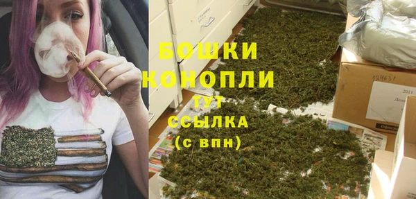 спайс Осинники