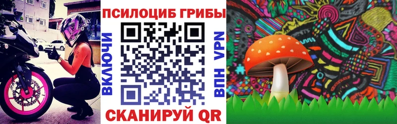 Галлюциногенные грибы Magic Shrooms  купить   мега рабочий сайт  Губаха 