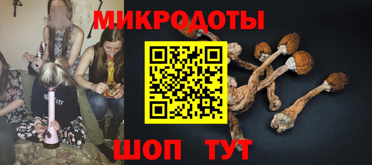 Галлюциногенные грибы Magic Shrooms Губаха