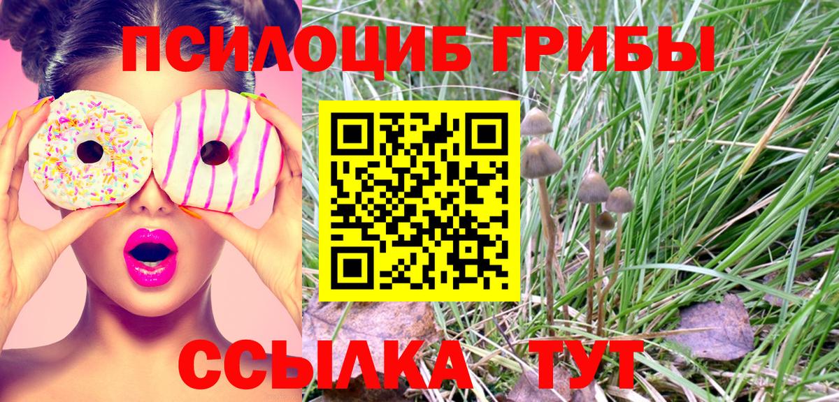 Галлюциногенные грибы GOLDEN TEACHER  Вход с VPN  Губаха 